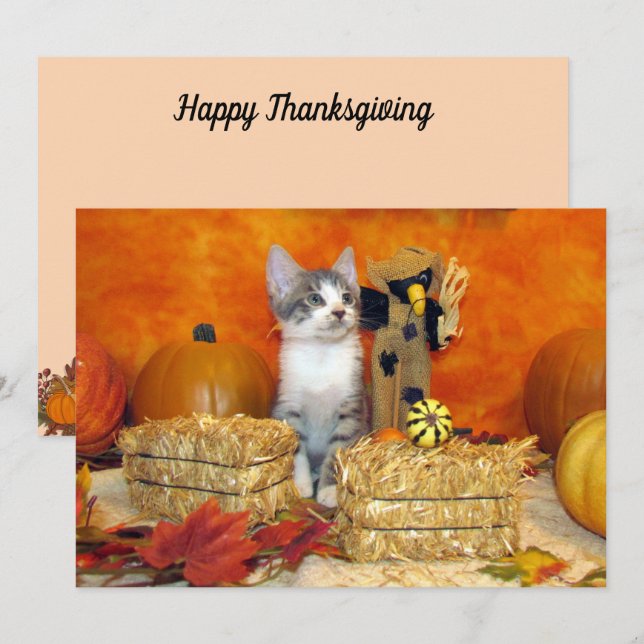 Chute de porc / Thanksgiving - Carte chat mignonne (Devant / Derrière)