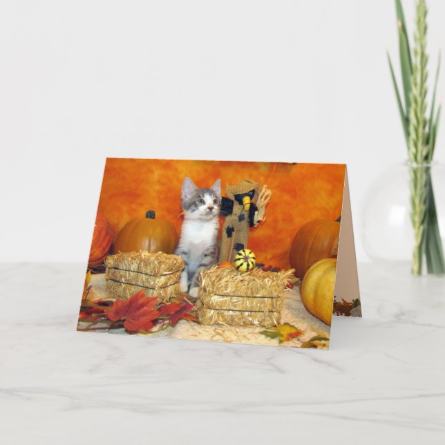 Chute de porc / Thanksgiving - Carte chat mignonne (Devant)