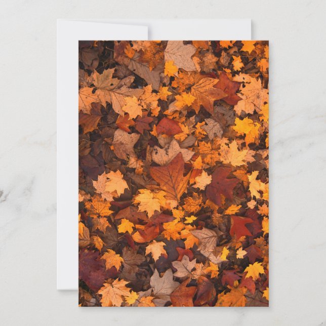 chute-feuillage-111315 CHUTE AUTOMNE FEUILLES COUL (Devant)