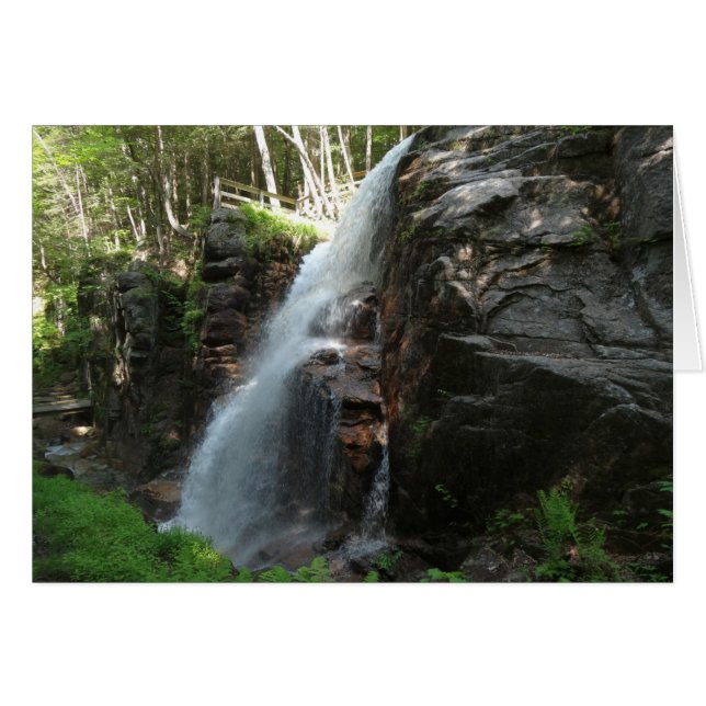 Chutes Avalanche (Devant horizontal)