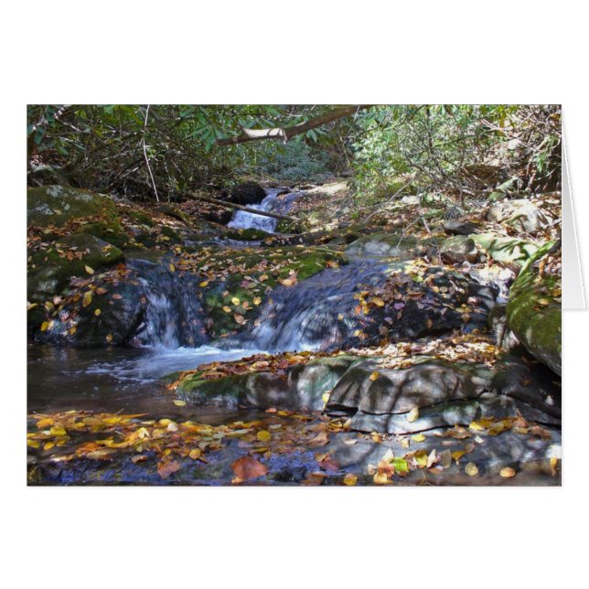 Chutes d'automne à Fires Creek (Devant Horizontal)