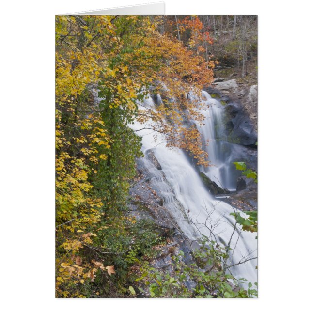 Chutes de la rivière Bald (Devant)