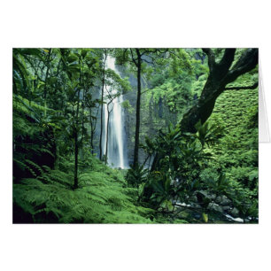 Chutes Hanakapiai le long de la côte Na Pali, Kaua