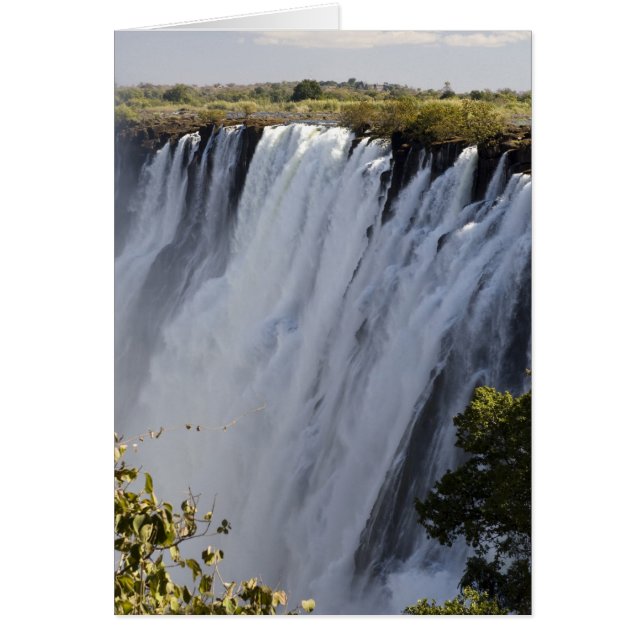 Chutes Victoria, fleuve Zambèze, Zambie. (Devant)
