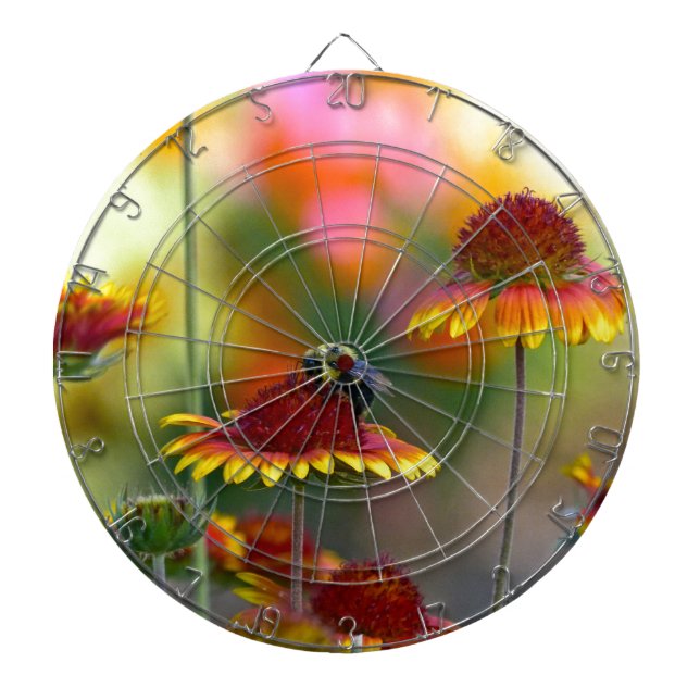 Cible De Fléchettes Abee sur Gaillardia (Devant)