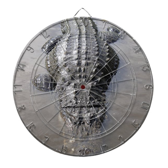 Cible De Fléchettes Alligator (Devant)