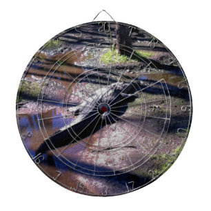 Cible De Fléchettes Alligator de la Floride