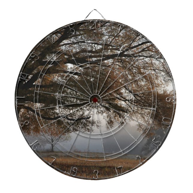 Cible De Fléchettes Atteindre (Devant)