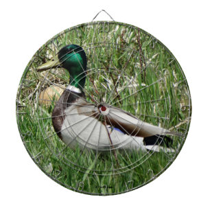 Cible De Fléchettes B55 Duck de canard Drake Greenhead dans l'herbe