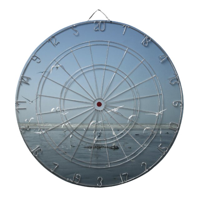 Cible De Fléchettes Belles grues volant au-dessus de l'eau Ballet de l (Devant)