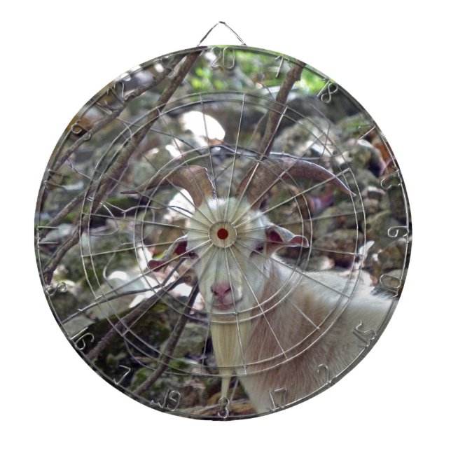 Cible De Fléchettes Billy Goat (Devant)