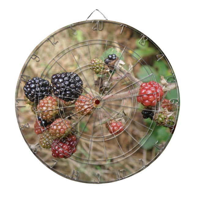 Cible de flechettes Blackberry Bonanza (Devant)