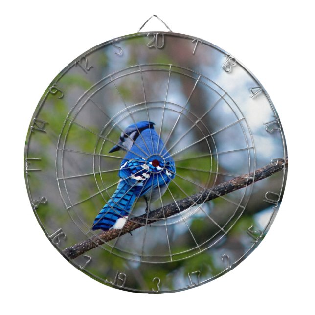 Cible De Fléchettes Blue Jay (Devant)