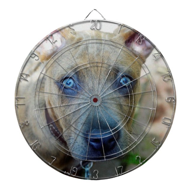 Cible De Fléchettes Brindle Pit Bull Puppy par Shirley Taylor (Devant)