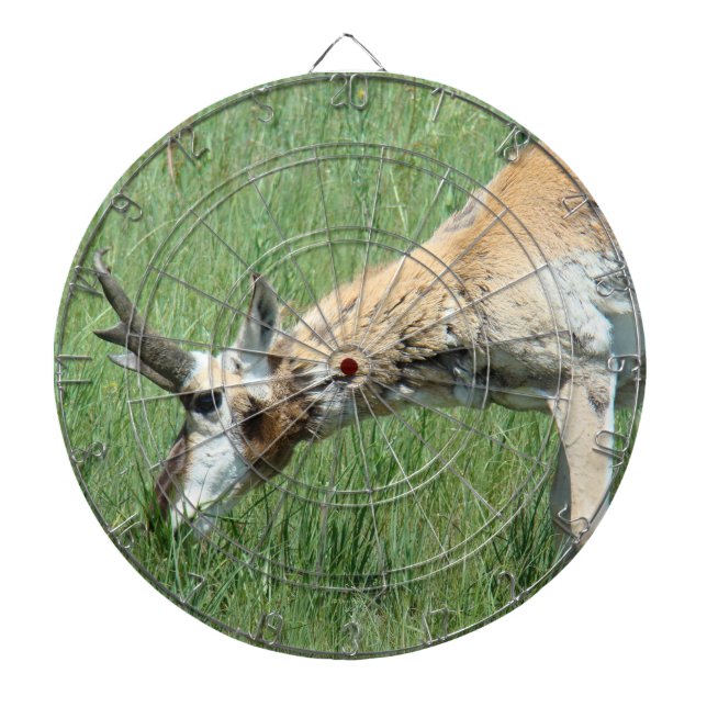 Cible De Fléchettes Cerf antilope A11 mâle en pâture (Devant)