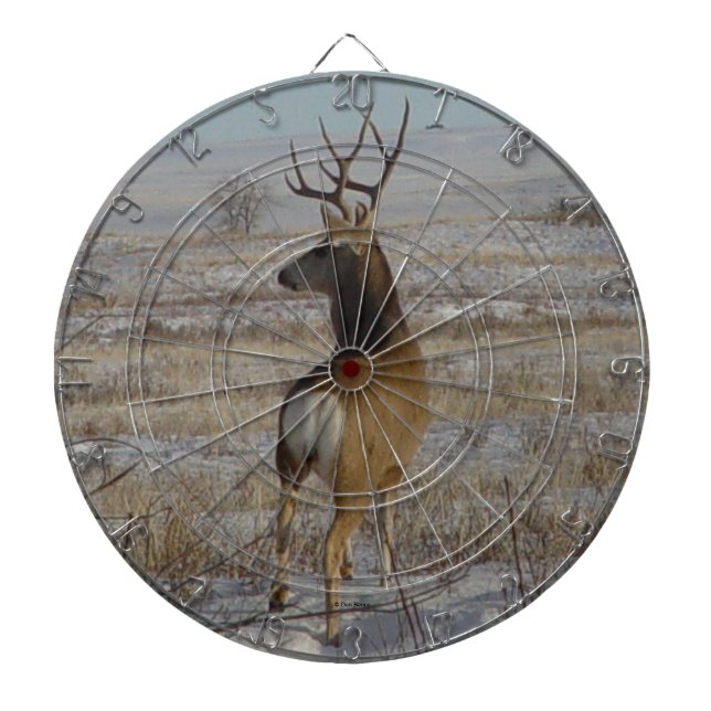 Cible De Fléchettes Cerf mulet mâle D20 dans la neige (Devant)