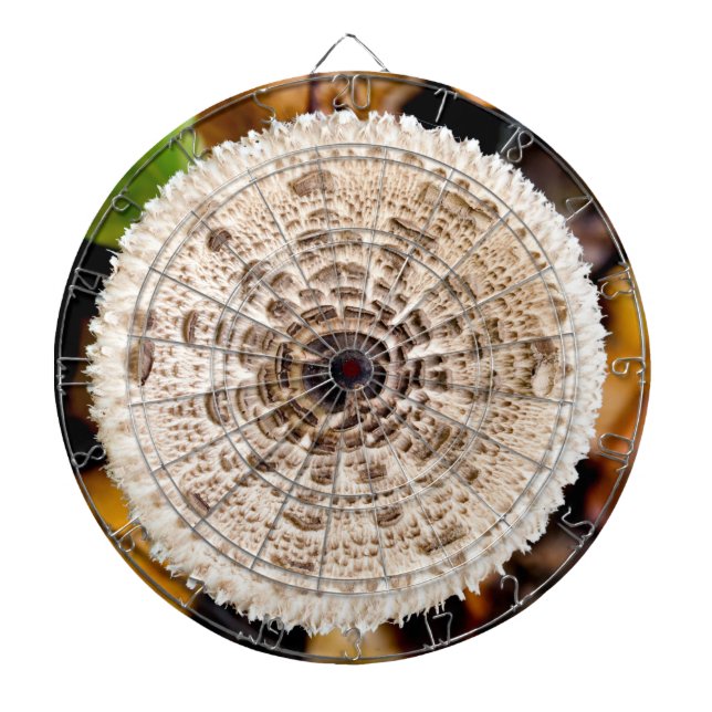 Cible De Fléchettes Champagne (Devant)