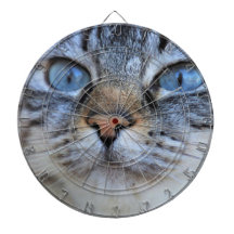 Chat gris