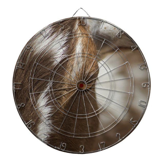 Cible De Fléchettes Chèvre (Devant)