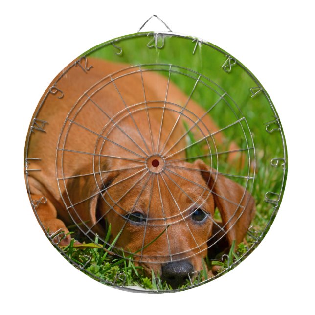 Cible de flechettes - customisée (Devant)