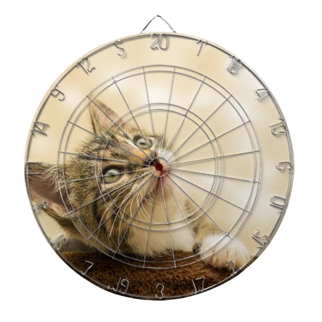 Cible De Fléchettes Cute Kitten avec une paille étirée (Devant)