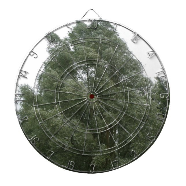 Cible de flechettes des arbres (Devant)