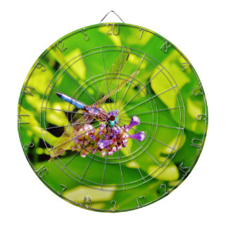 Cible De Fléchettes Dragonfly de couleur arc-en-ciel sur une fleur ros