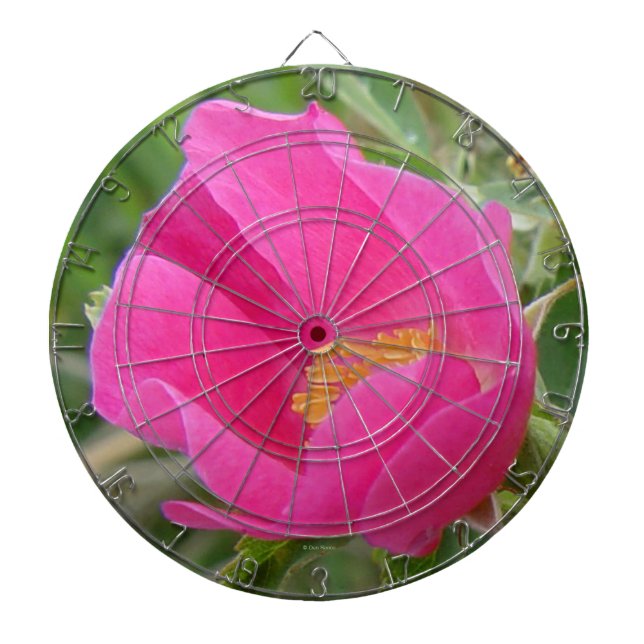 Cible De Fléchettes F7 Rose sauvage à fleur rose vif (Devant)