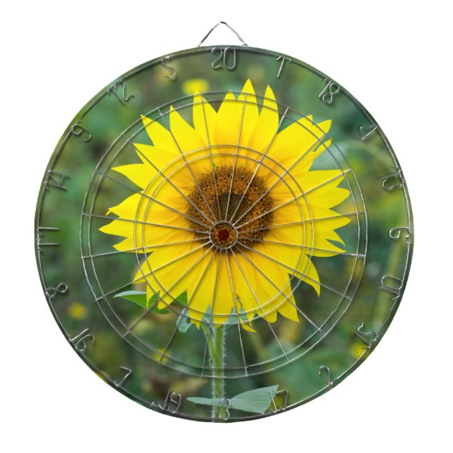 Cible De Fléchettes Fleur sauvage de fleurs de tournesol (Devant)
