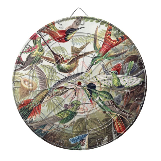 Cible De Fléchettes Hummingbird Bird Wildlife Classic Painting (Devant)