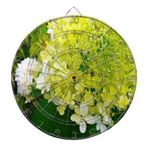 Cible De Fléchettes Hydrangea Limelight Vert Chartreuse Élégant