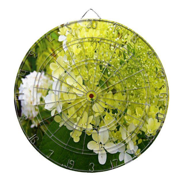 Cible De Fléchettes Hydrangea Limelight Vert Chartreuse Élégant (Devant)