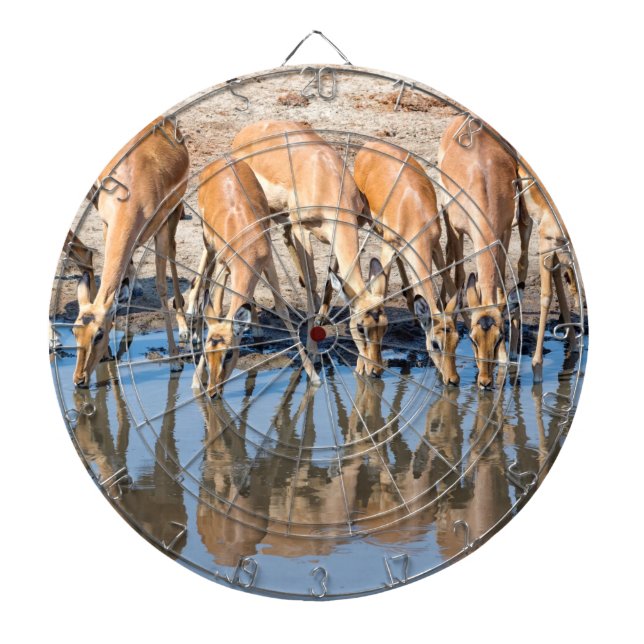 Cible De Fléchettes Impalas at the waterhole (Devant)