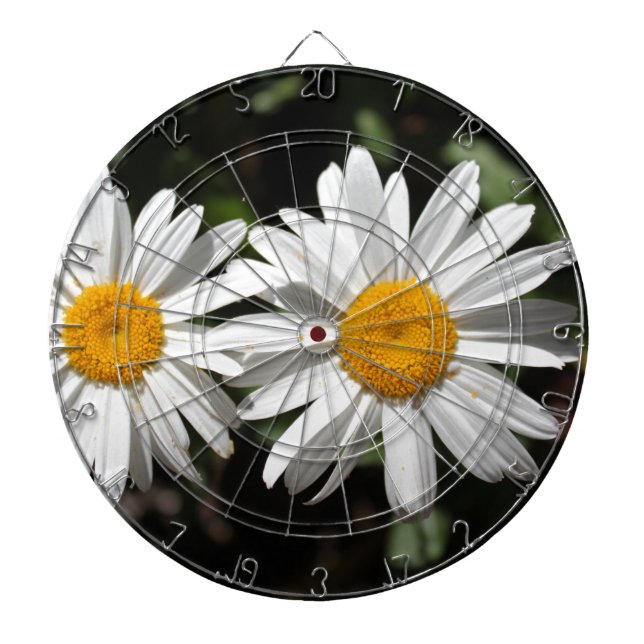 Cible De Fléchettes Joli blanc fleur marguerite (Devant)