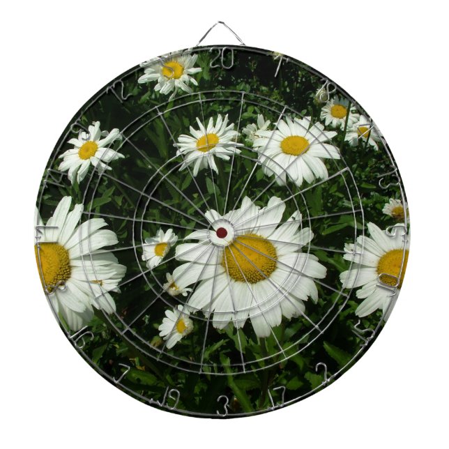Cible De Fléchettes jolies fleurs de marguerite blanche. (Devant)