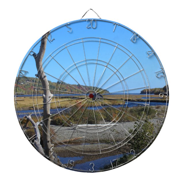 Cible De Fléchettes La hutte dans la crique d'oie (Devant)