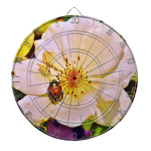 Cible De Fléchettes Le scarabée japonais sur la rose blanche