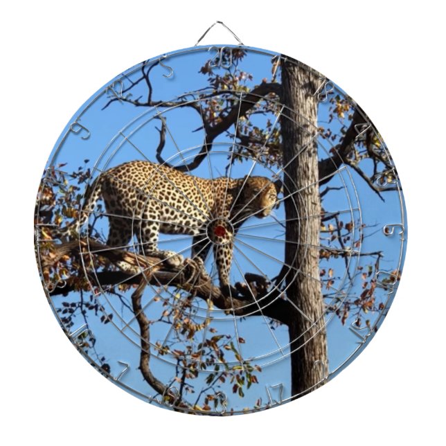 Cible De Fléchettes Leopard dans un arbre en Afrique (Devant)