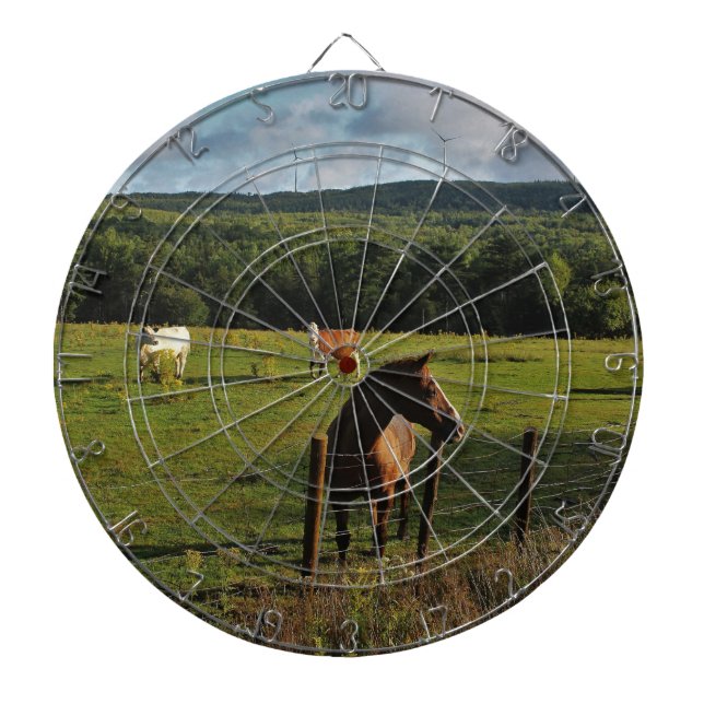 Cible De Fléchettes Moulins à vent dans la distance (Devant)