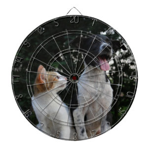 Cible De Fléchettes Pet Photo Dartboard