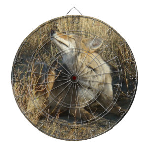 Cible De Fléchettes R17 Coyote se grattant