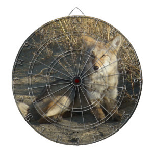 Cible De Fléchettes R19 Coyote Couché