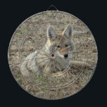 Cible De Fléchettes R22 Coyote Couché<br><div class="desc">Tableau de fléchettes de coyote couché. Un jeune coyote se détend dans un champ de chaume après une après-midi à chasser des souris dans les prairies d'herbe courte du sud-est de l'Alberta,  Canada.</div>