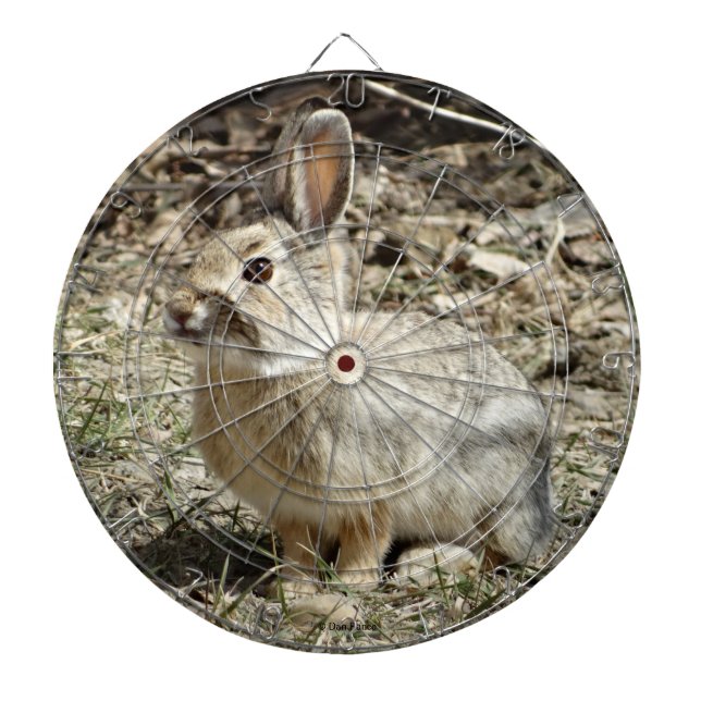Cible De Fléchettes R24 Lapin à queue de coton (Devant)