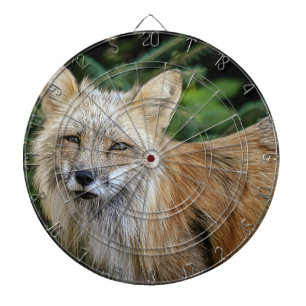 Cible De Fléchettes Renard sauvage