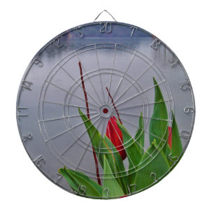 Cible De Fléchettes Rouges Tulipes Blue Lake Arrowhead