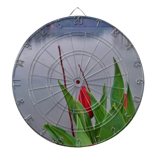 Cible De Fléchettes Rouges Tulipes Blue Lake Arrowhead (Devant)