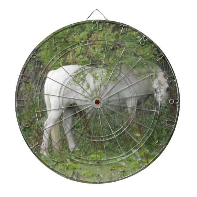 Cible De Fléchettes Shy White Horse (Devant)