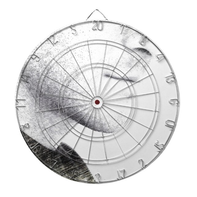 Cible De Fléchettes Silence (Devant)