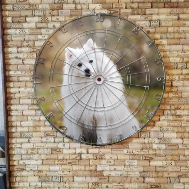 Cible De Fléchettes Tableau de bord personnalisé photo (Créateur téléchargé)